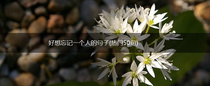 好想忘记一个人的句子(热门50句),第1张