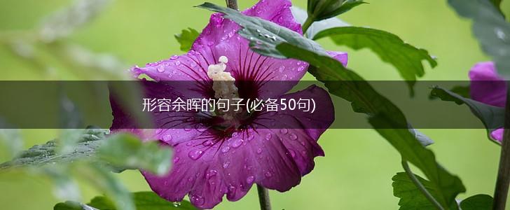 形容余晖的句子(必备50句),第1张