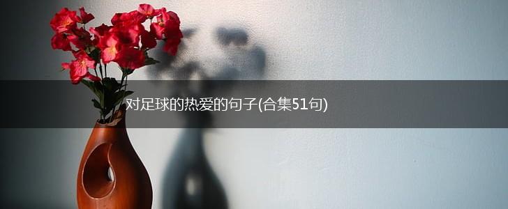 对足球的热爱的句子(合集51句),第1张