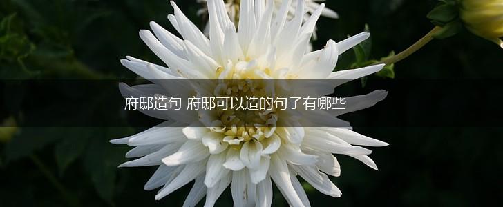 府邸造句 府邸可以造的句子有哪些,第1张 府邸造句 府邸可以造的句子有哪些,第1张