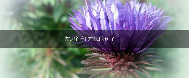 左思造句 左思的句子,第1张
