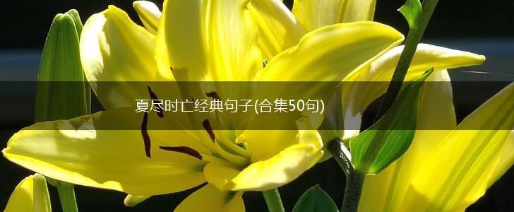 夏尽时亡经典句子(合集50句),第1张