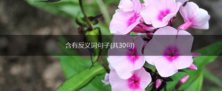 含有反义词句子(共30句),第1张