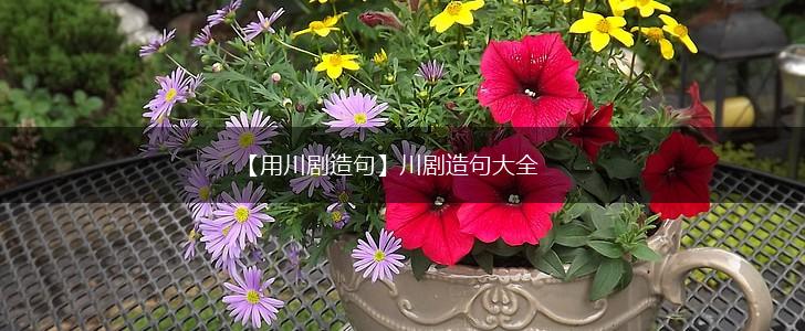 【用川剧造句】川剧造句大全,第1张