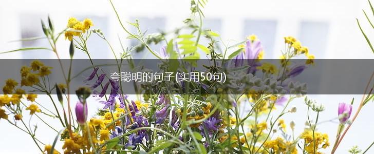 夸聪明的句子(实用50句),第1张