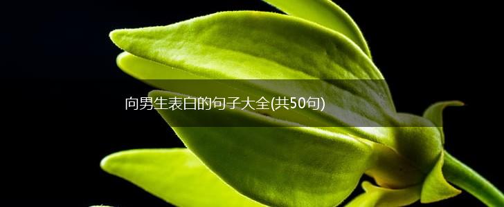向男生表白的句子大全(共50句),第1张
