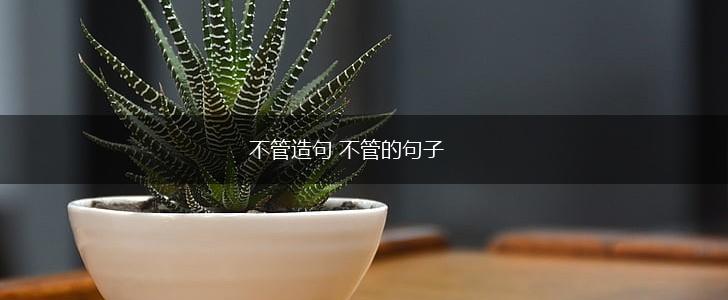 不管造句 不管的句子,第1张