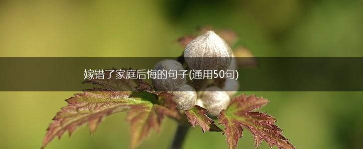 嫁错了家庭后悔的句子(通用50句),第1张