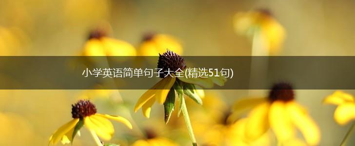 小学英语简单句子大全(精选51句),第1张