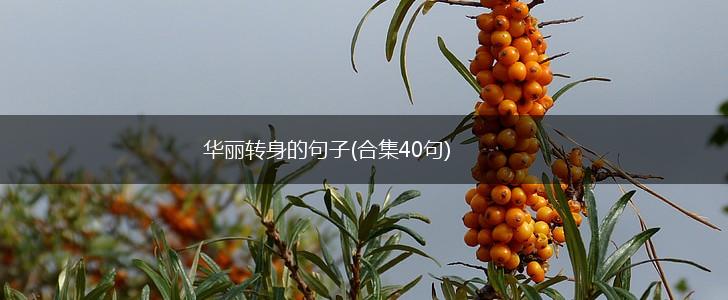 华丽转身的句子(合集40句),第1张