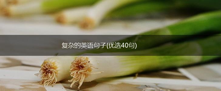 复杂的英语句子(优选40句),第1张