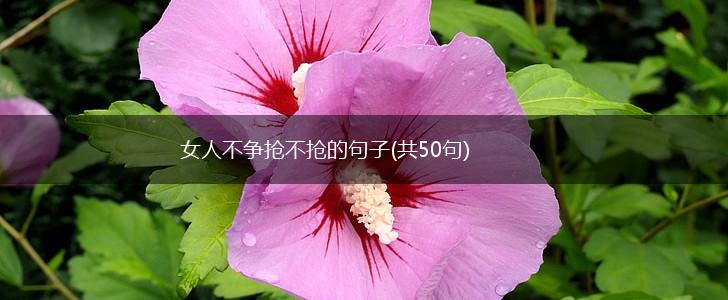 女人不争抢不抢的句子(共50句),第1张