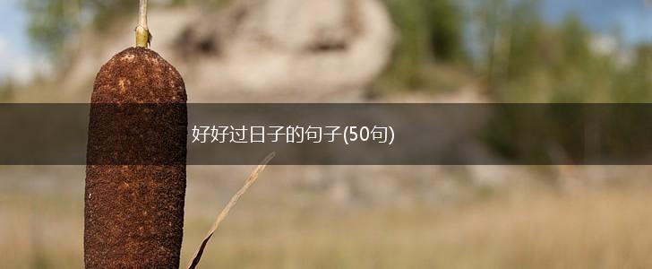 好好过日子的句子(50句),第1张