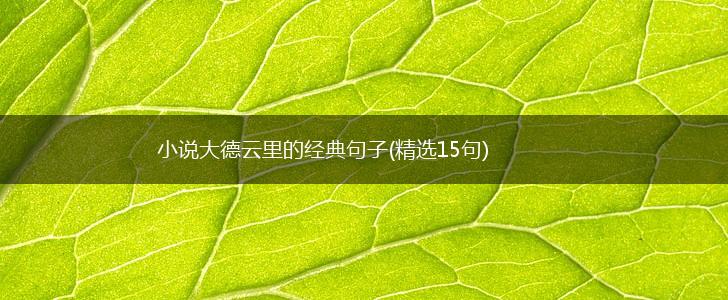 小说大德云里的经典句子(精选15句),第1张