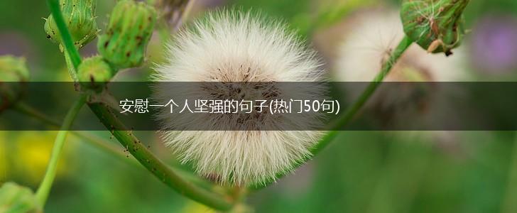 安慰一个人坚强的句子(热门50句),第1张