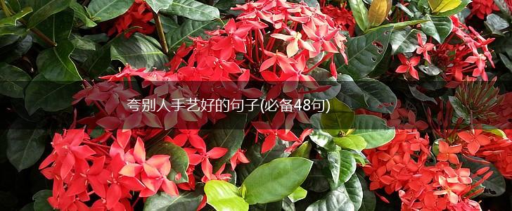 夸别人手艺好的句子(必备48句),第1张