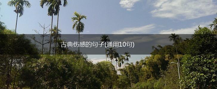 古典伤感的句子(通用10句),第1张