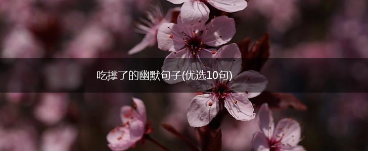 吃撑了的幽默句子(优选10句),第1张