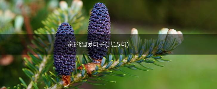 家的温暖句子(共15句),第1张