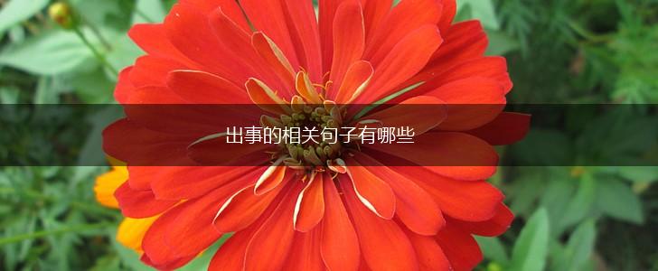 出事的相关句子有哪些,第1张