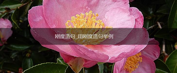 刚度造句_用刚度造句举例,第1张 刚度造句_用刚度造句举例,第1张