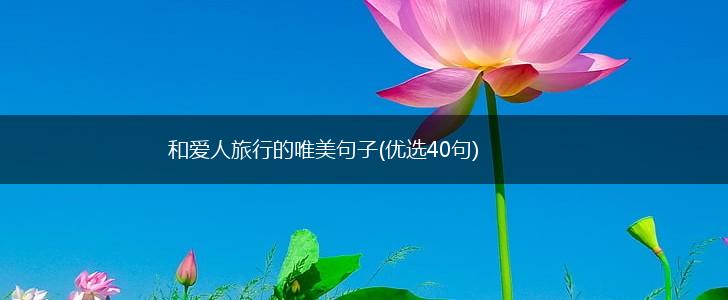 和爱人旅行的唯美句子(优选40句),第1张