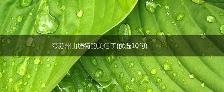 夸苏州山塘街的美句子(优选10句),第1张
