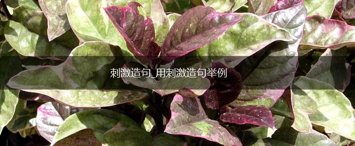 刺激造句_用刺激造句举例,第1张
