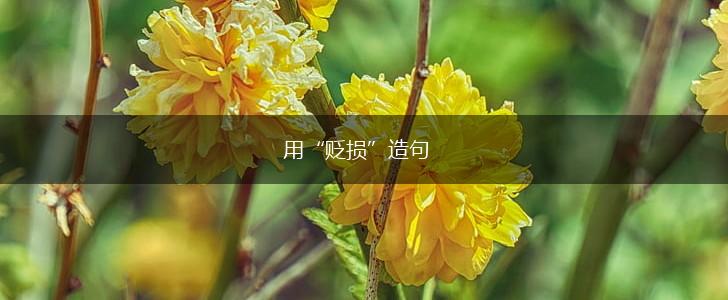 用“贬损”造句,第1张