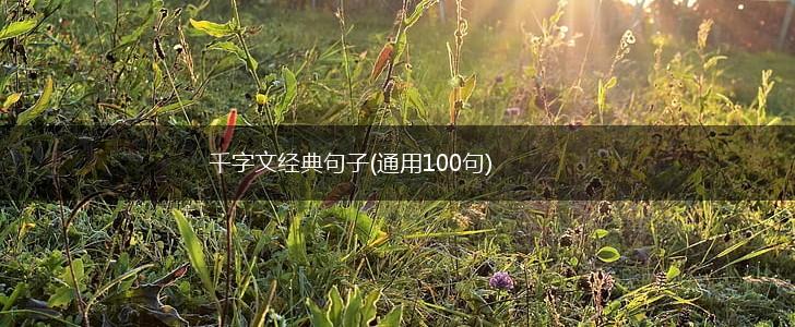 千字文经典句子(通用100句),第1张