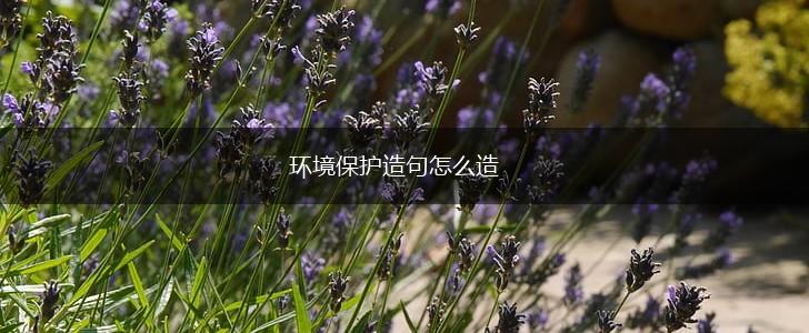 环境保护造句怎么造,第1张 环境保护造句怎么造,第1张
