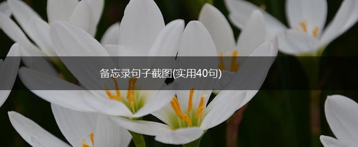 备忘录句子截图(实用40句),第1张