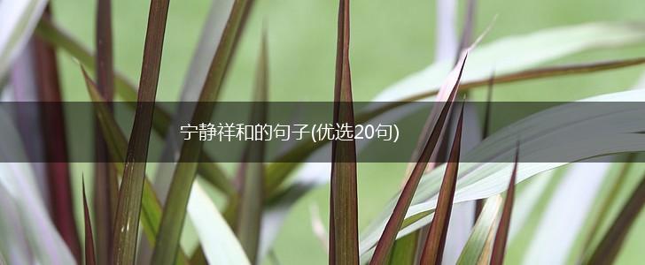 宁静祥和的句子(优选20句),第1张