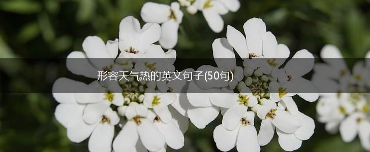 形容天气热的英文句子(50句),第1张