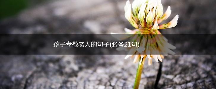 孩子孝敬老人的句子(必备21句),第1张