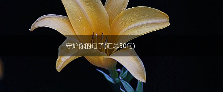 守护你的句子(汇总50句),第1张