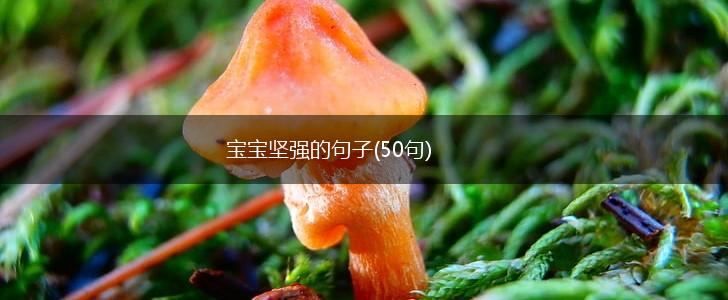 宝宝坚强的句子(50句),第1张