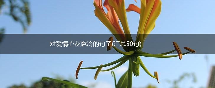 对爱情心灰意冷的句子(汇总50句),第1张