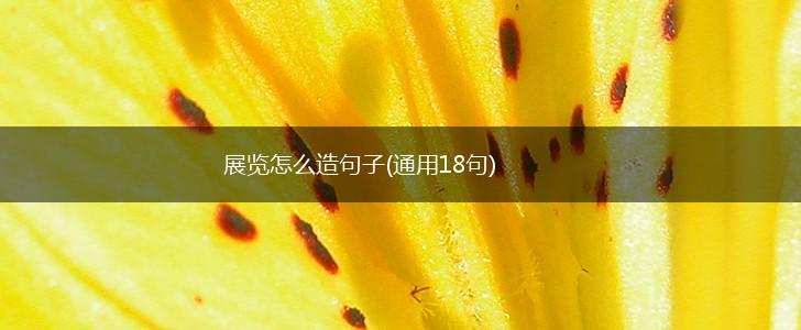 展览怎么造句子(通用18句),第1张