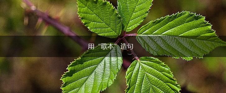 用“歌本”造句,第1张 用“歌本”造句,第1张