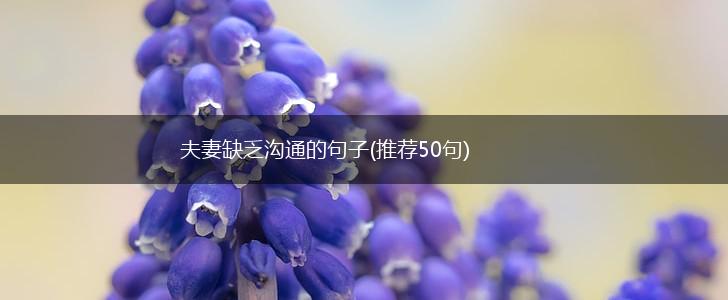 夫妻缺乏沟通的句子(推荐50句),第1张