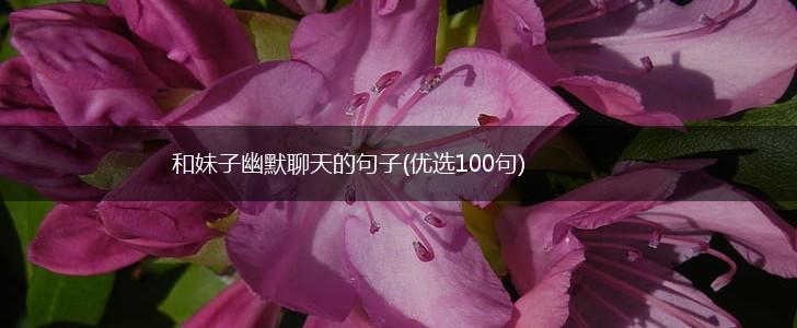 和妹子幽默聊天的句子(优选100句),第1张