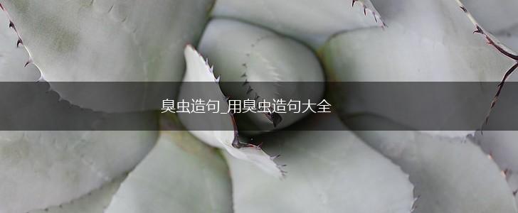 臭虫造句_用臭虫造句大全,第1张