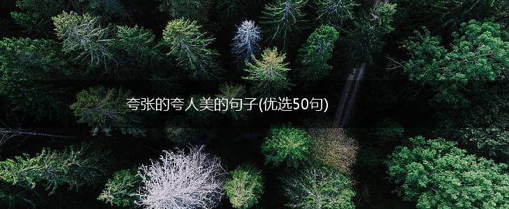夸张的夸人美的句子(优选50句),第1张