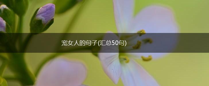 宠女人的句子(汇总50句),第1张