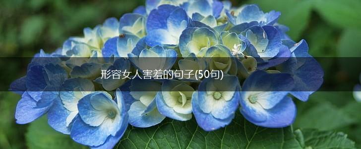 形容女人害羞的句子(50句),第1张