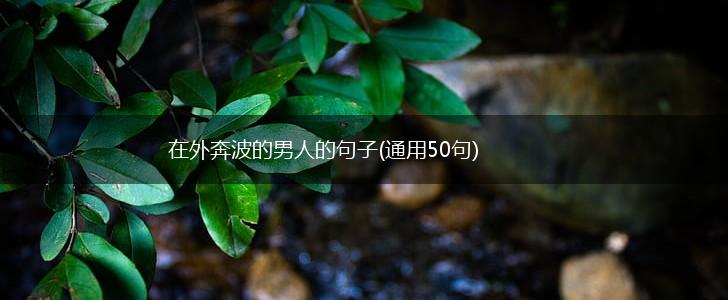 在外奔波的男人的句子(通用50句),第1张