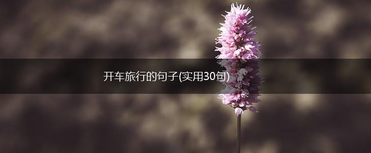 开车旅行的句子(实用30句),第1张