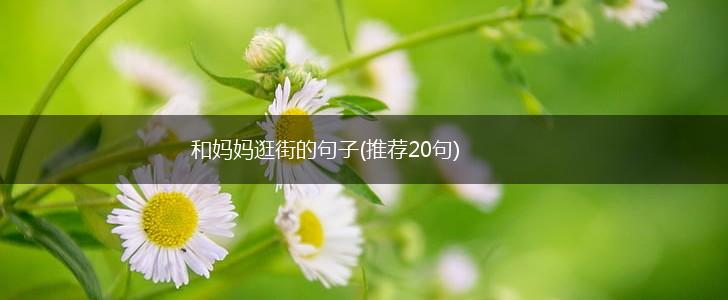 和妈妈逛街的句子(推荐20句),第1张