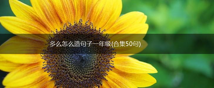 多么怎么造句子一年级(合集50句),第1张